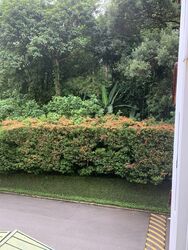 Villa Delle Rose (D10), Condominium #290367131